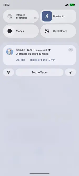La notification de rappel « Camille · Tahor », « À prendre au cours du repas. », avec « J'ai pris » et « Rappeler dans 10 min »